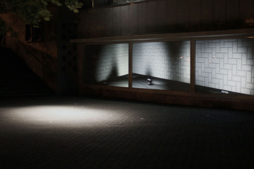 Wiermann reflection 8650