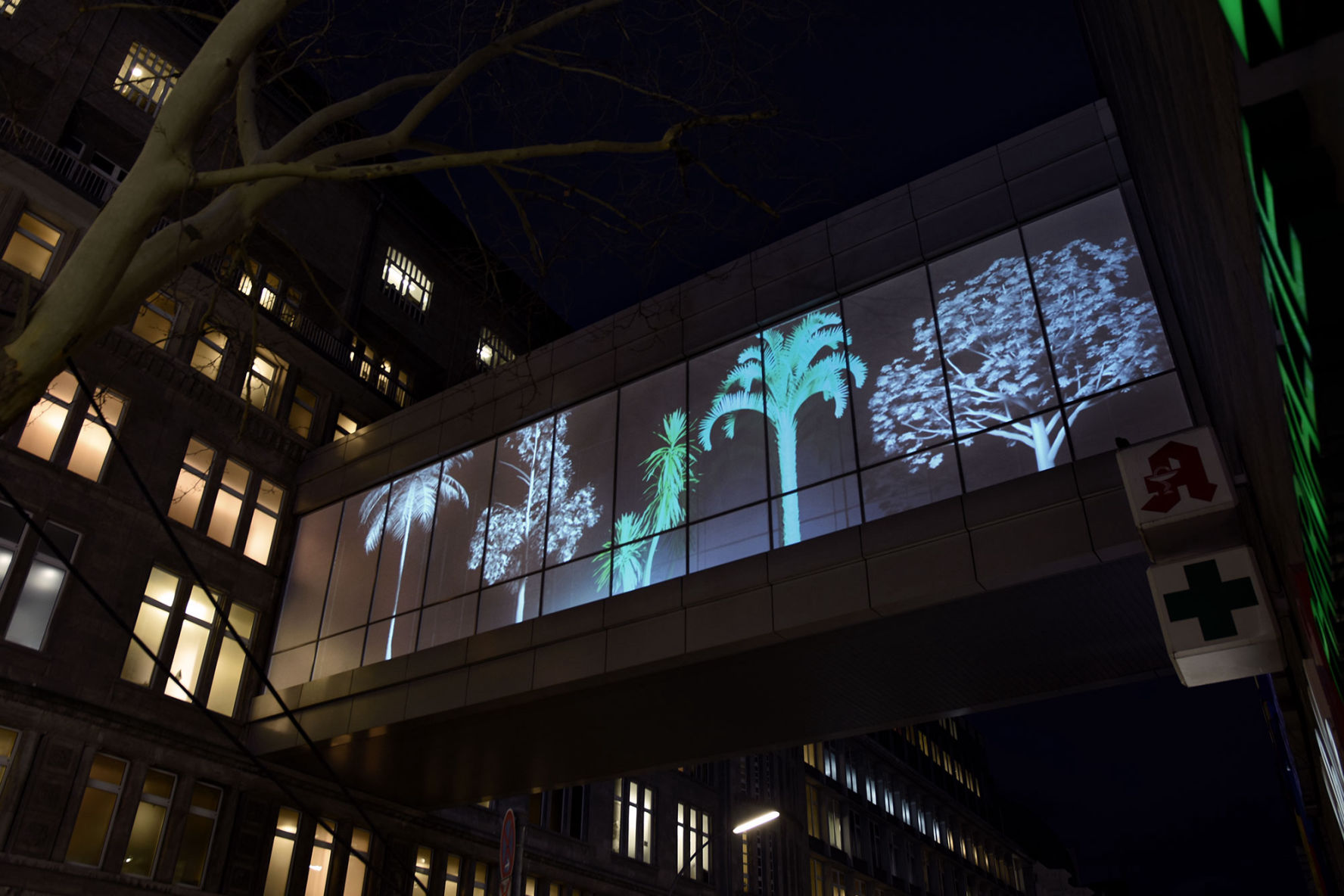 Wiermann KaDeWe N2_1683