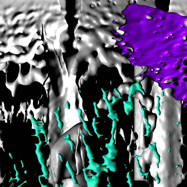 wiermann colorful S1_a