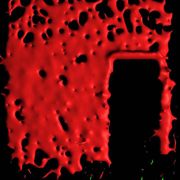 wiermann colorful S1_M123456a