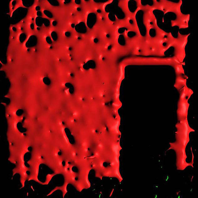 wiermann colorful S1_M123456a